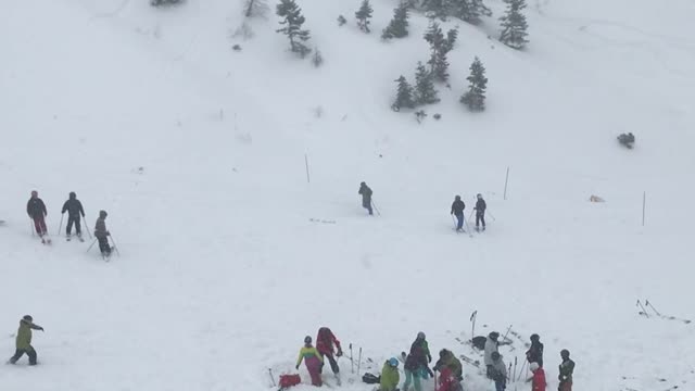 Squaw Valley Avalanche Rescue