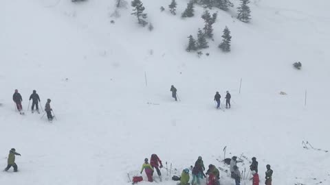 Squaw Valley Avalanche Rescue