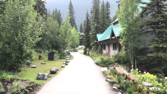 Stunning Views At Emerald Lake in Yoho National Park