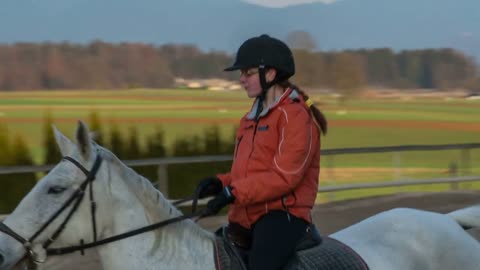 Galloping horse with rider