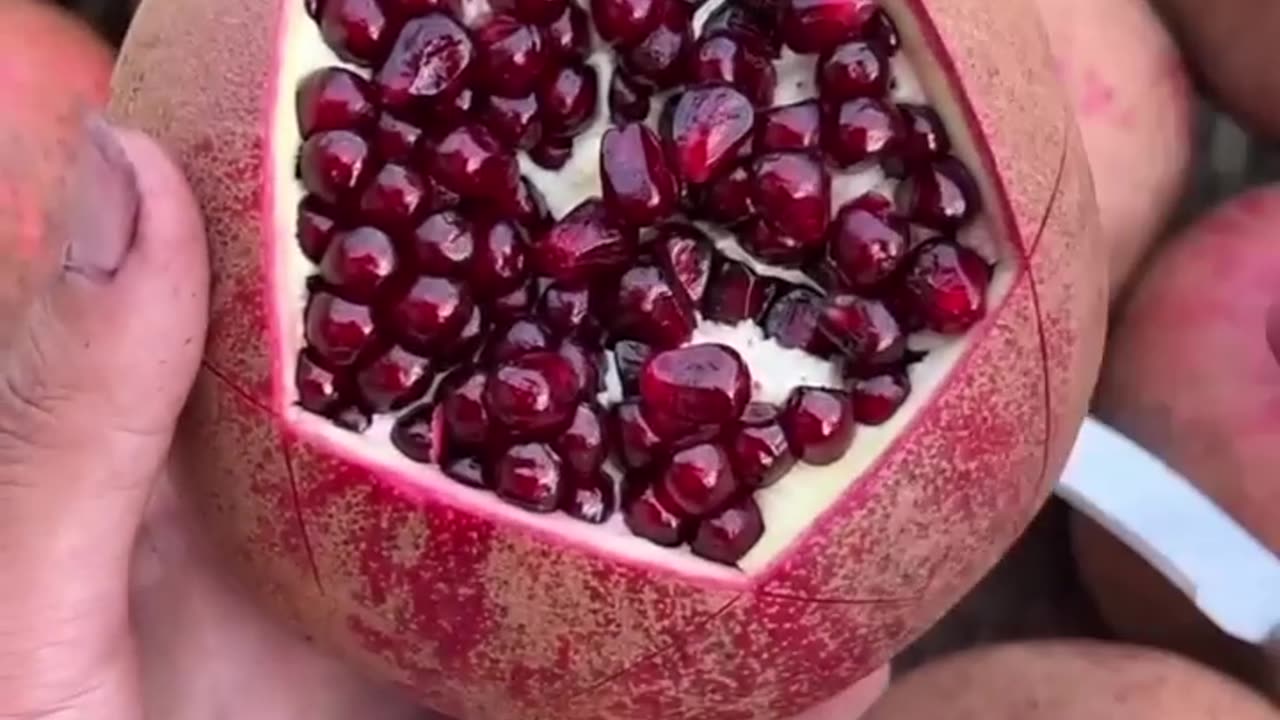 POMOGREAT FRUIT