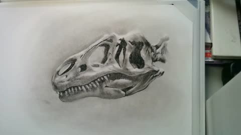 Allosaurus skull - full charcoal drawing