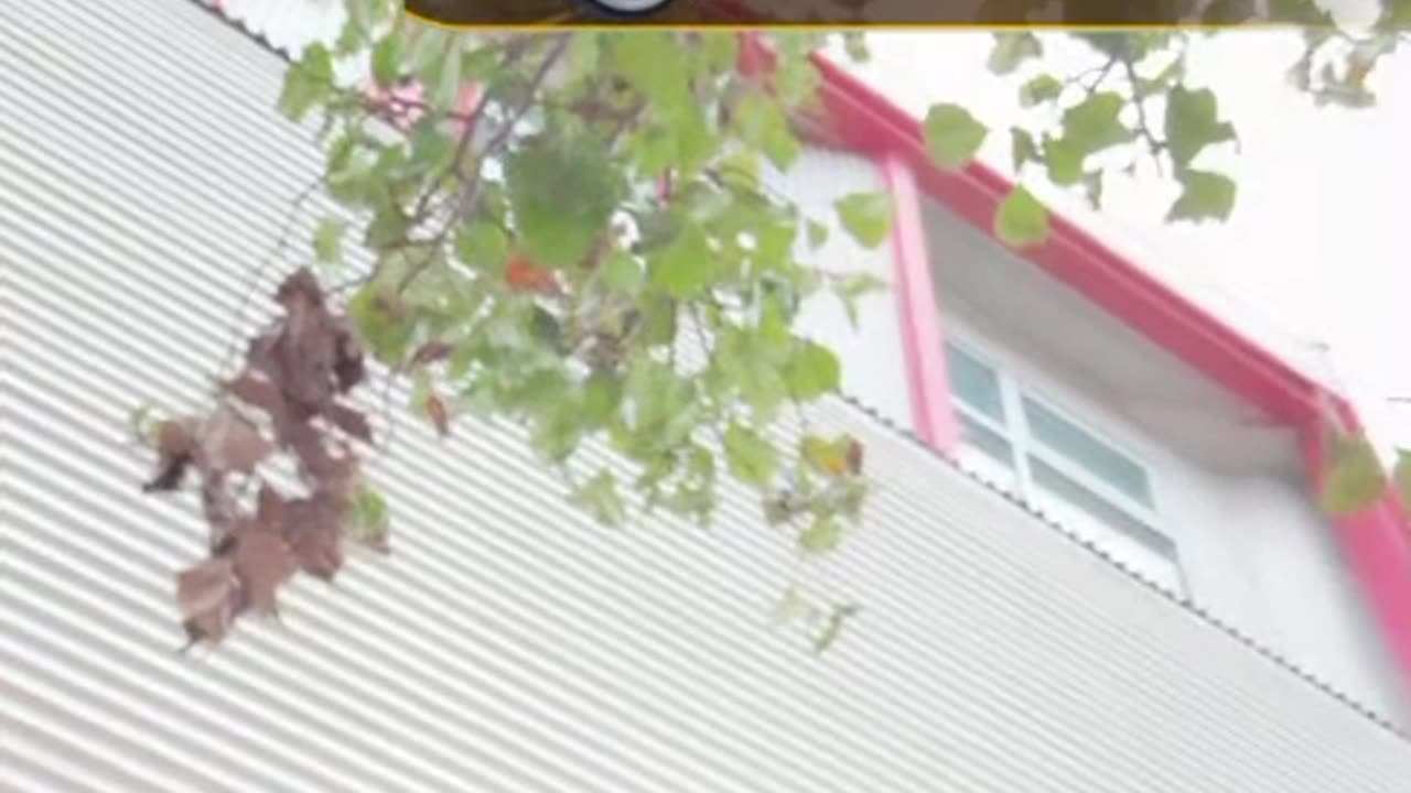 #Clip8 Welcome 2 The Bigo Gala Event In California