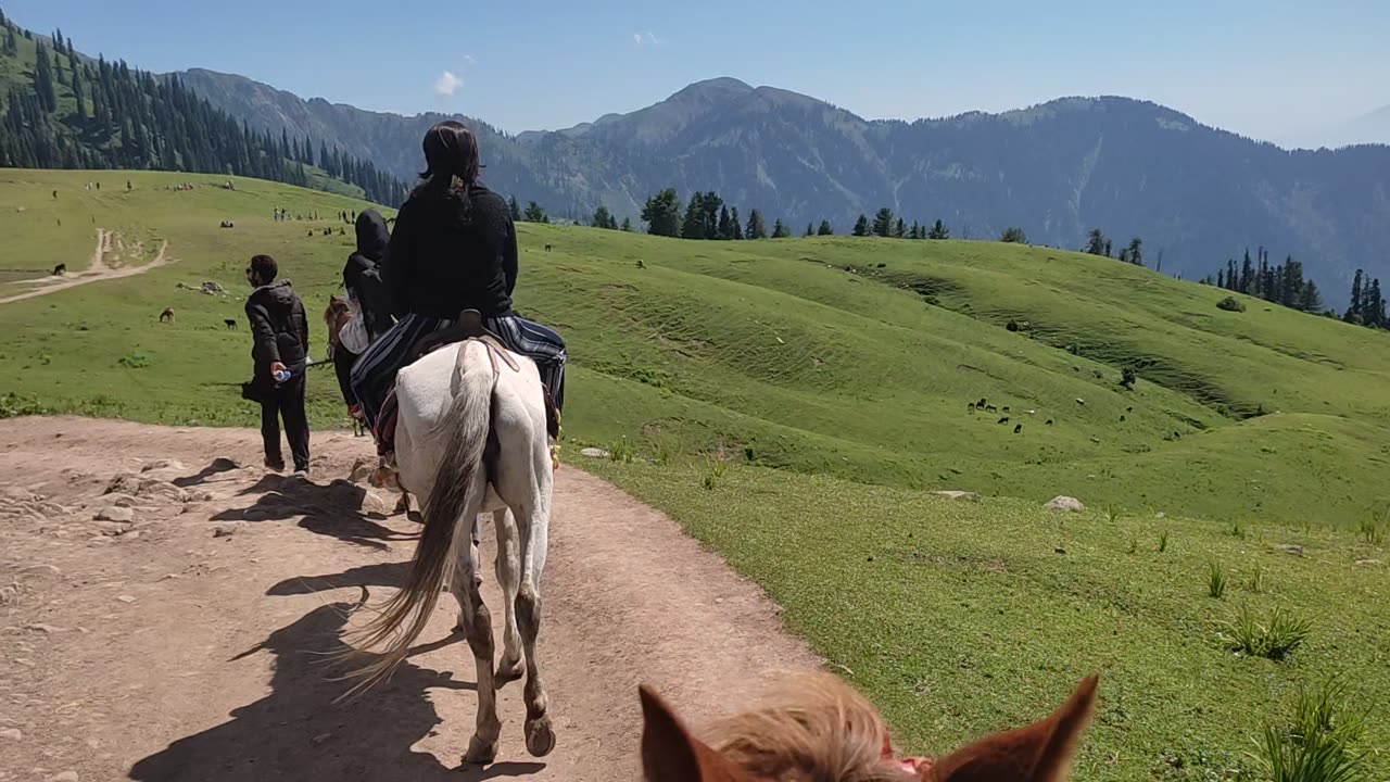 Horse riding on mountain