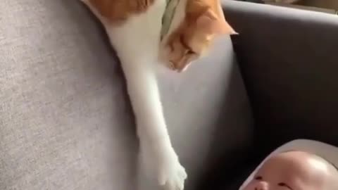 Cat plays with a child