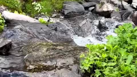 Hike in Grindelwald Switzerland