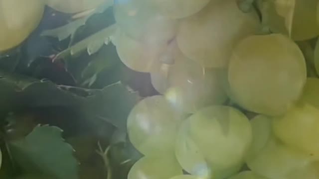 delicious grapes
