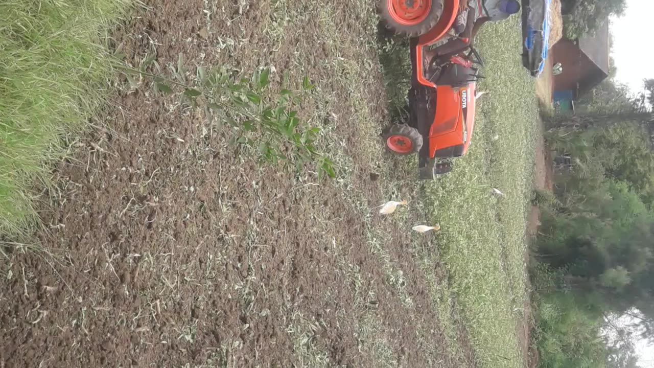 KUBOTA TREKTER AMERICAN FARMING