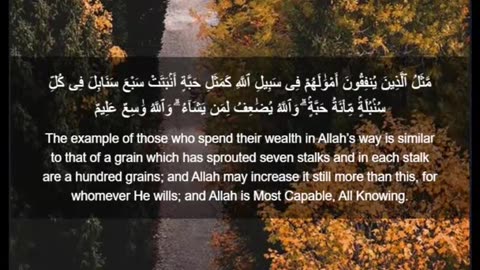 Beautiful recitation of the Holy Quran||تلاوة جميلة للقرآن الكريم
