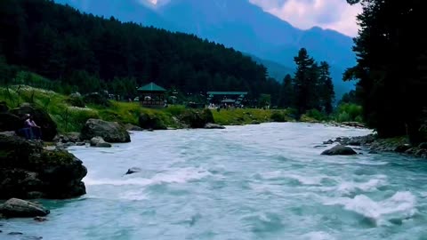 River in forest beautiful view