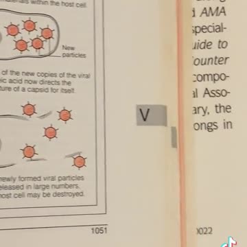 Definition of Coronaviruses