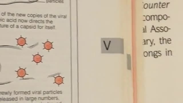 Definition of Coronaviruses