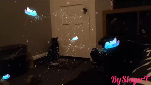 BUTTERFLY EFFECT TESLA