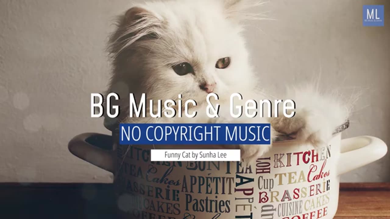 Entertaining Cat Video with Copyright-Free Background Music for Vlogs