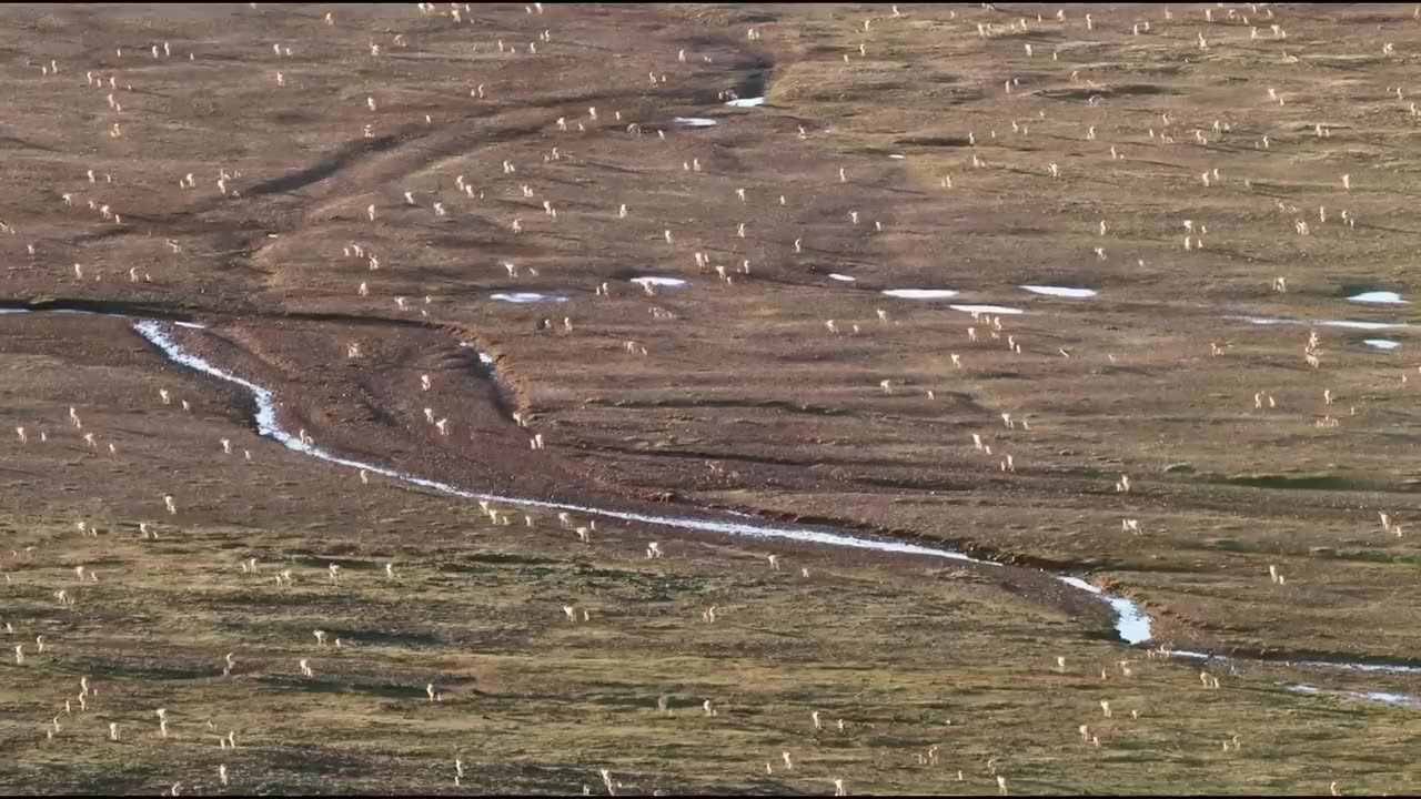 The Magnificent Beauty of Nature | Adiemus • HD