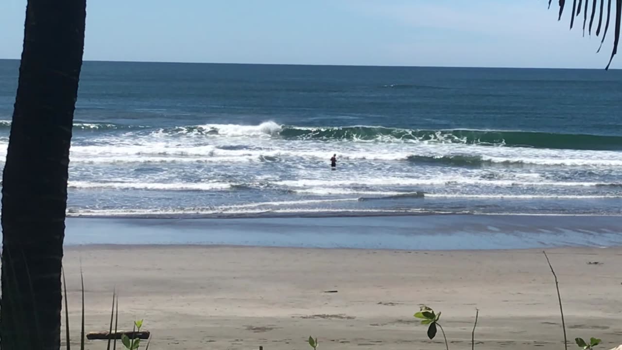 12/1/24 Roberto tries out the new fishing rod…caught 1 minutes before video