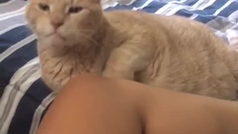 The look of the one who will take your girl away