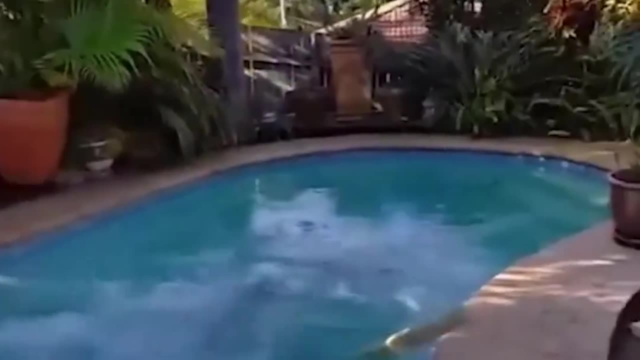 Hilarious Fails 😂😂 part 2
