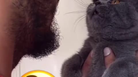 Can't stop laughing animals 🐈😺 Cute #18💋🥺