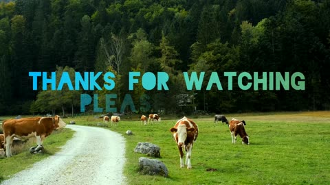 Beautiful / Switzerland/ view with sweet / animal's