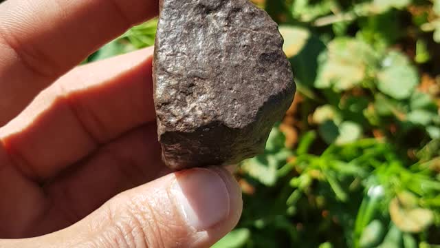 Nice chondrite ordinare