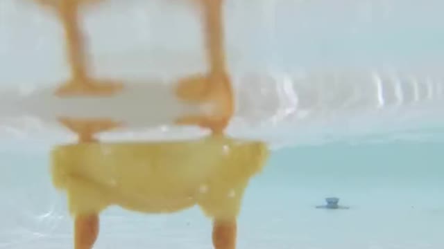 duckling#underwater#asmr