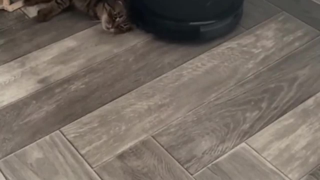 TRY NOT TO LAUGH 😆 Best Funny Videos Compilation 😂😁😆