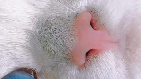 Every day is like looking at the sea