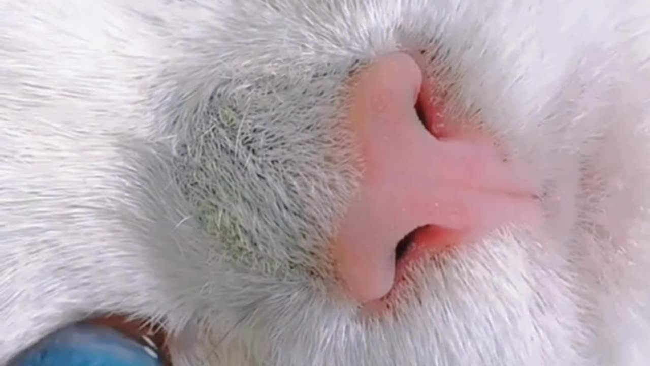 Every day is like looking at the sea