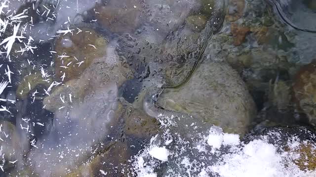 Winter stream