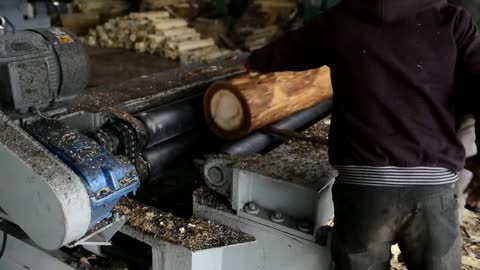 Wood Processing For Making Plywood