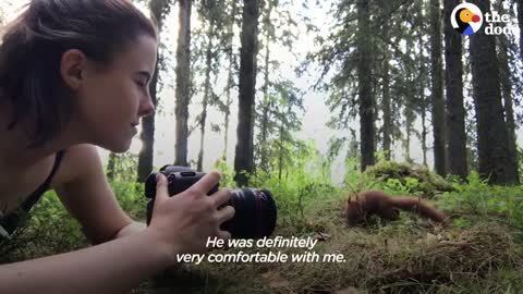 Girl Raises Four Orphaned Baby Red Squirrels In The Middle Of The Forest | The Dodo Wild Hearts