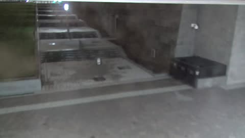 7160CVCULNScreeningLineExterior_2021-01-05_19h20min01s687ms.mp4