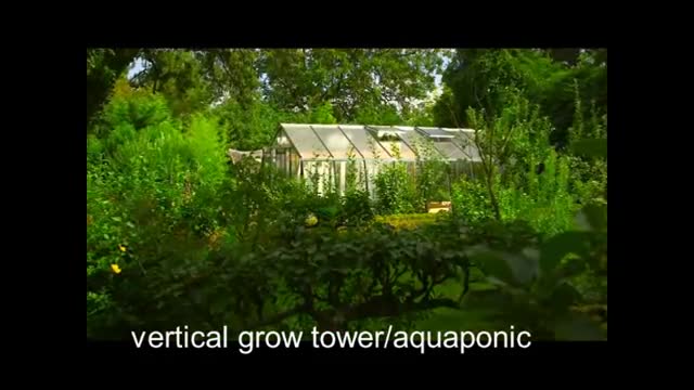 vertical tower aquaponic system