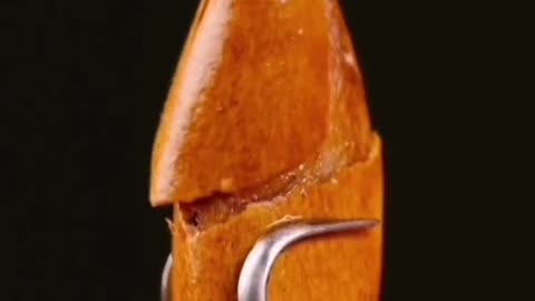 An appetizing nut