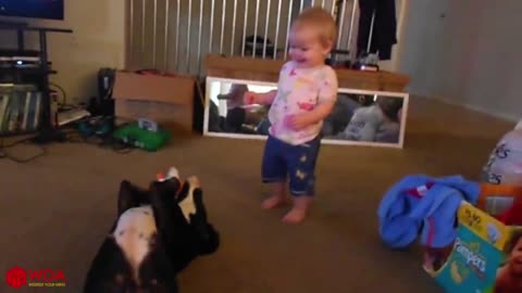 FUNNY DOG LOVES TO MAKE BABY LAUGH | Dog loves Baby Compilation