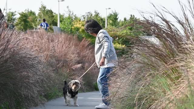 Little Boy Running with His Dog