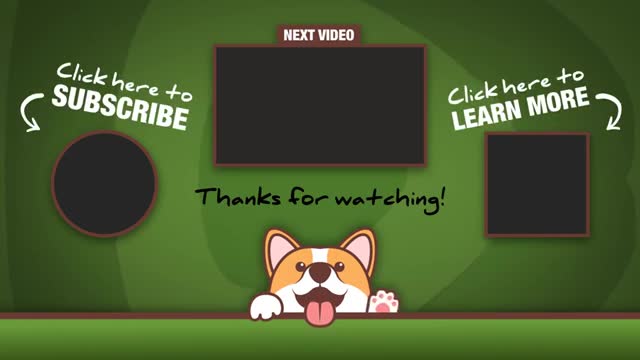 Yorkie_and_ferret_best_friends_actively_play_catch-up(360p).mp4