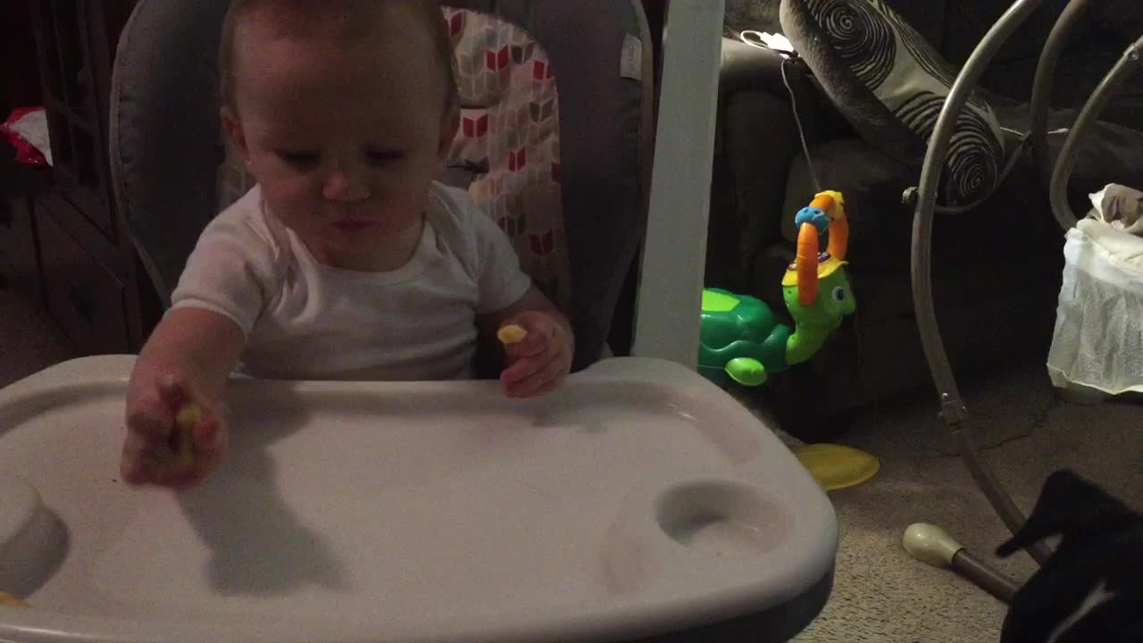 Thoughtful baby lovingly shares snack with pit bull