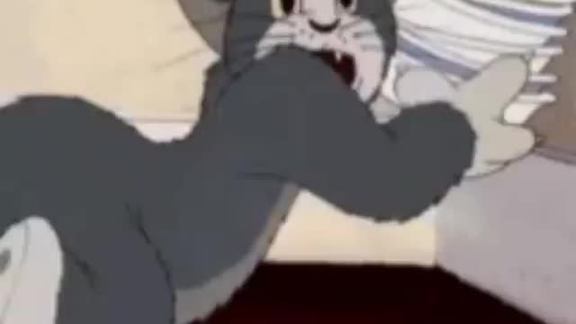 World's sortest porn ever 🤣