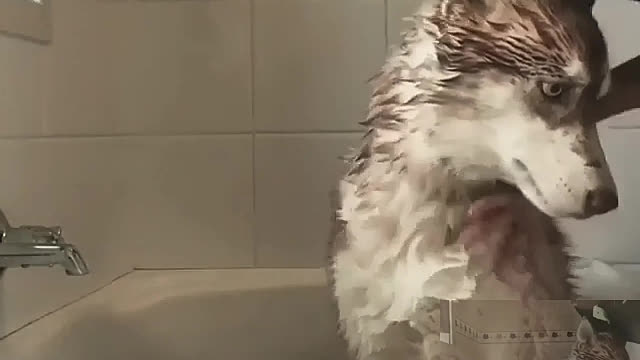 Take a shower bath