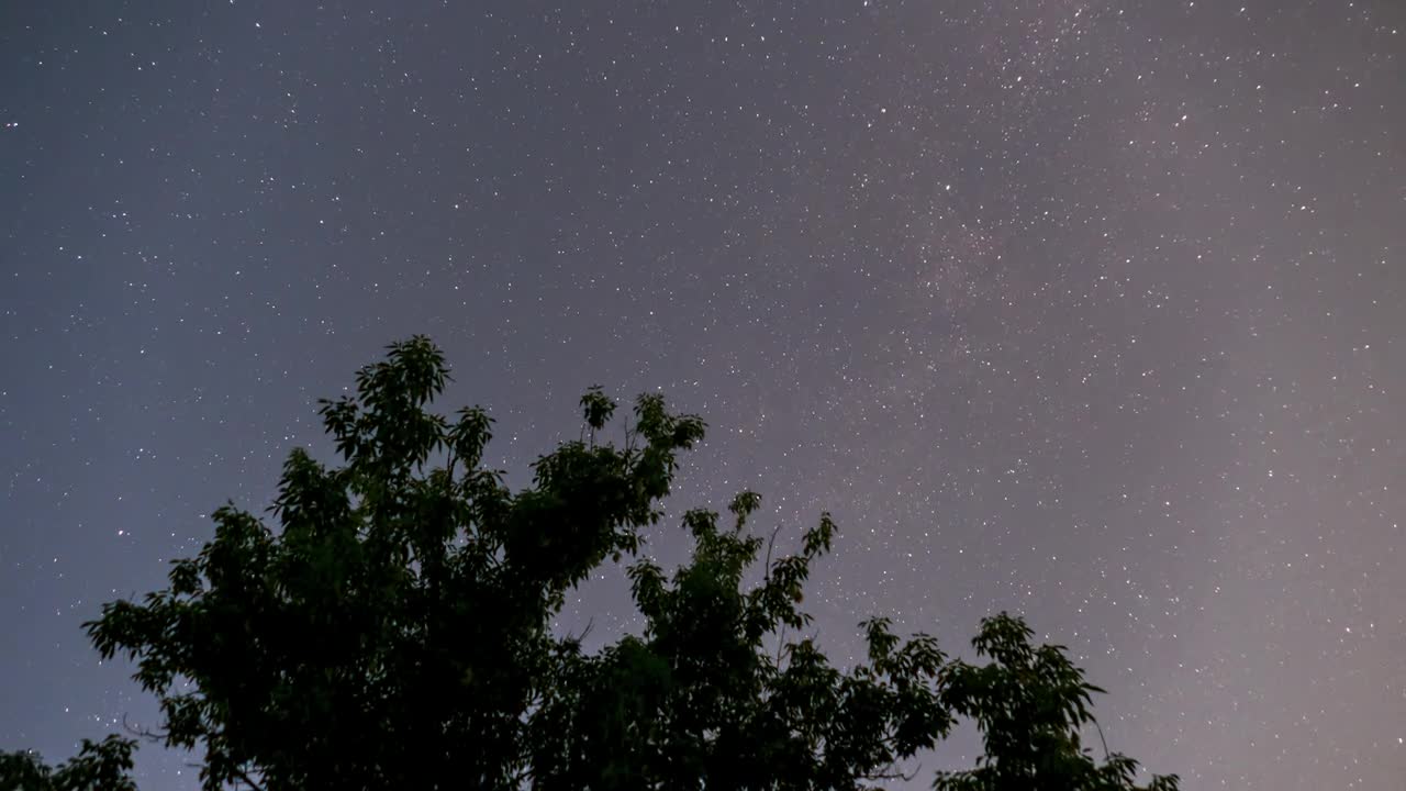 Starry sky and the silhouette of a tree