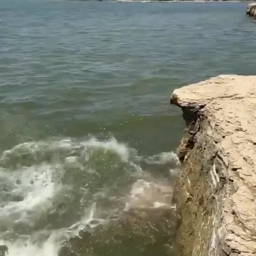 Somersault! Somersault yourself