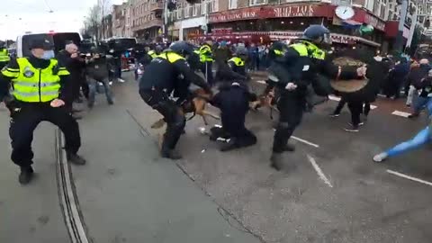 Horrific scenes in Amsterdam this afternoon as police set dog onto anti Coronavirus