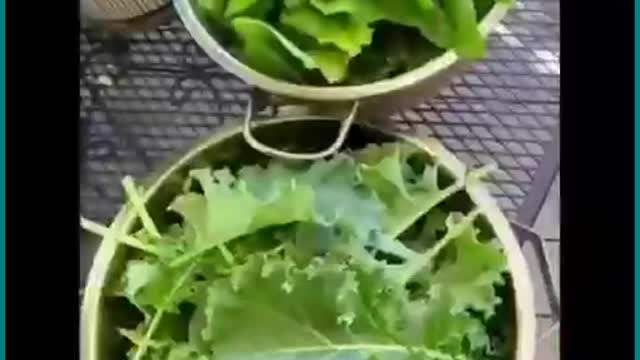 Let this sink in for a minute ☝️