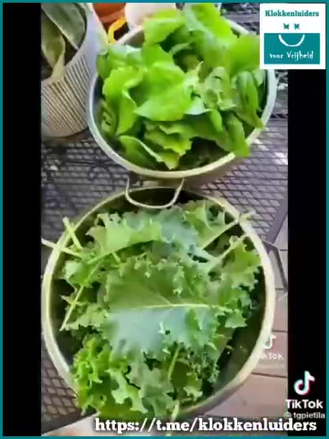 Let this sink in for a minute ☝️