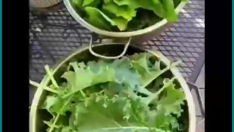 Let this sink in for a minute ☝️