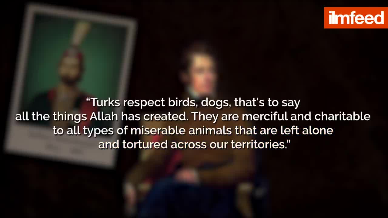 Why Animals Have a Special Place in Turkish People's Hearts