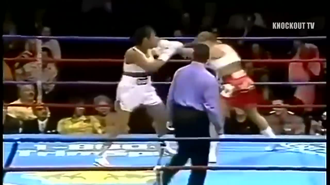 Laila ali top 10 knock outs