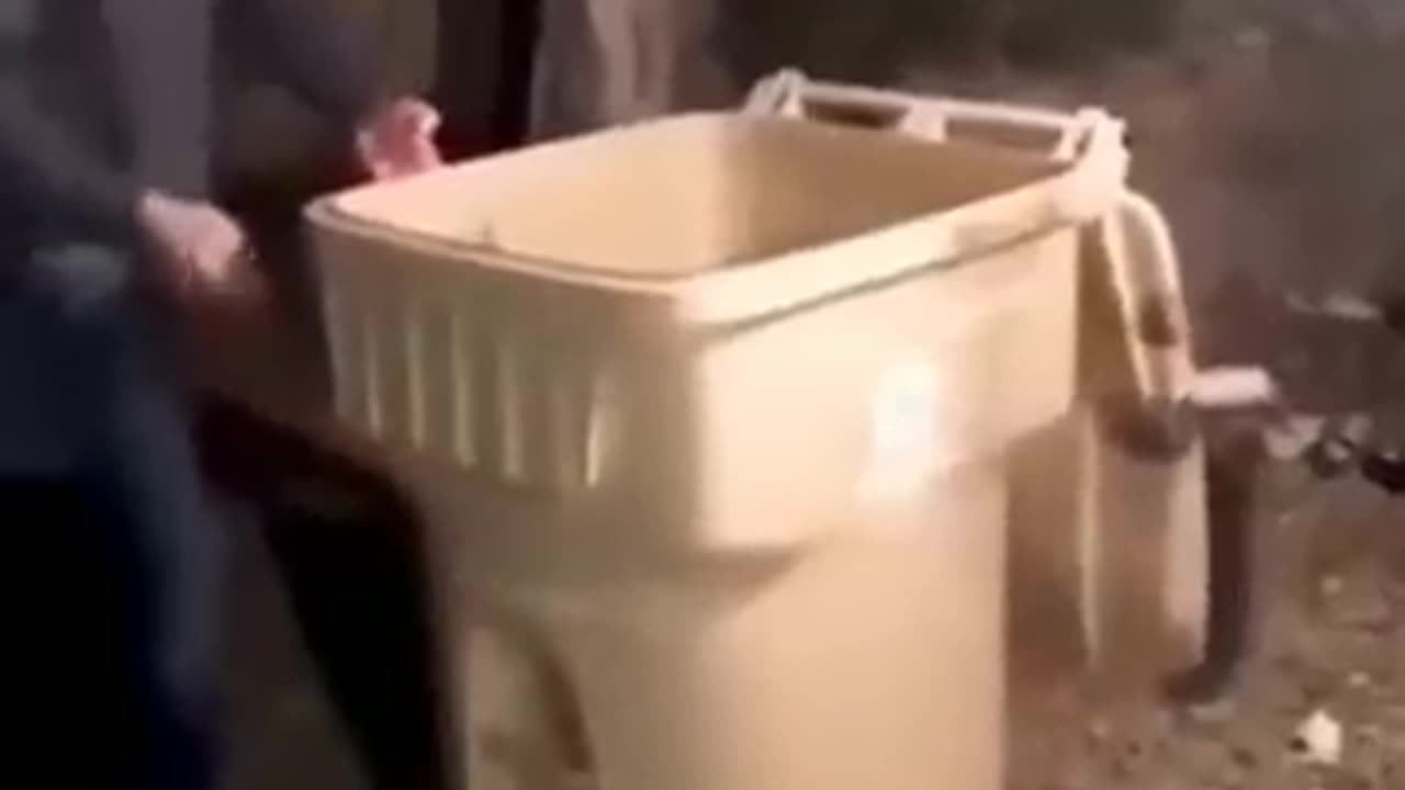 Most Funny Animals of 2023